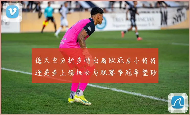 德天空分析多特出局欧冠后小将将迎更多上场机会与联赛争冠希望渺茫