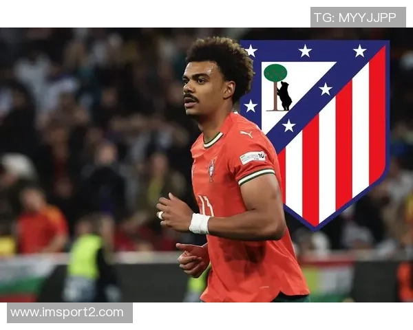 德天空澄清拜仁与四名球员转会传闻均为虚假消息