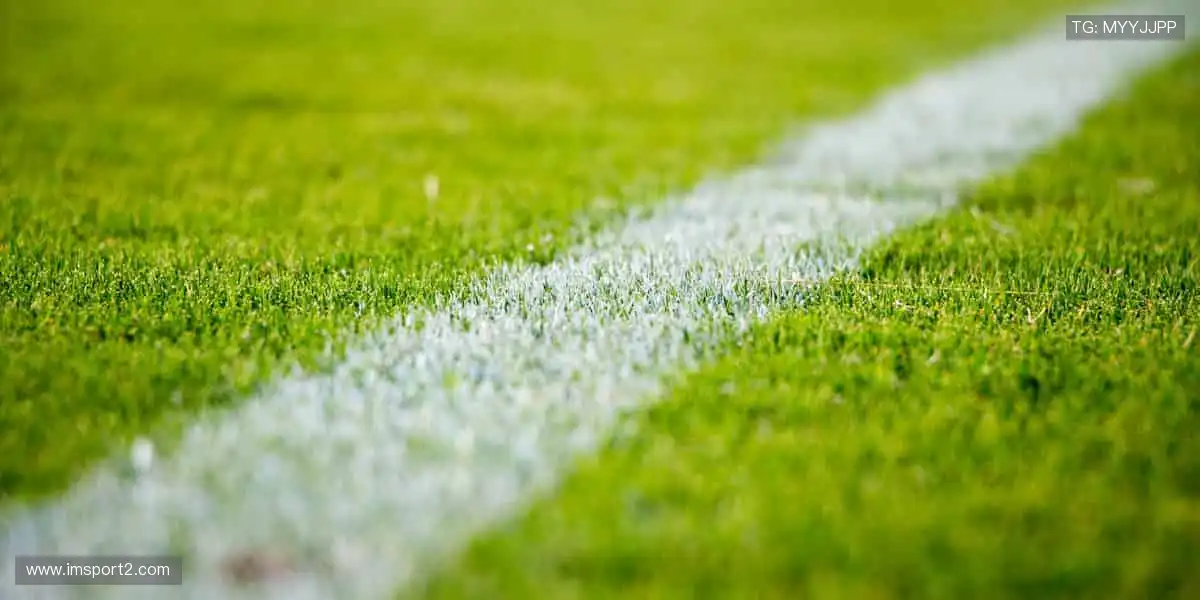 👟限量发售，做最 in 的运动达人！✨